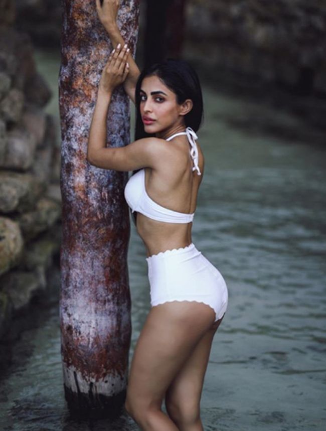 Priya Banerjee Latest Instagram Pics